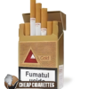 Hilton Gold King Size cigarettes, 20-stick hinge-lid box, front view
