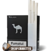 Camel Black King Size cigarettes, 20-stick hinge-lid box, single pack front view