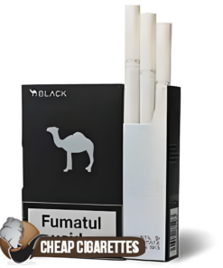 Camel Black King Size cigarettes, 20-stick hinge-lid box, single pack front view
