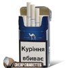 Camel Silver Compact cigarettes, 20-stick hinge-lid box, front view