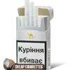 Camel Silver King Size cigarettes, 20-stick hinge-lid box, front view