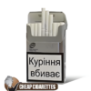 Esse Nano Silver Slims cigarettes, 20-stick hinge-lid box, front view